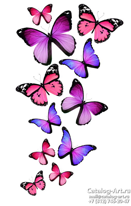  Butterflies 37